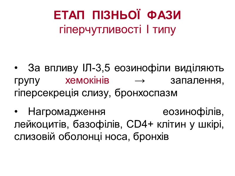 ЕТАП  ПІЗНЬОЇ  ФАЗИ  гіперчутливості І типу  За впливу ІЛ-3,5 еозинофіли